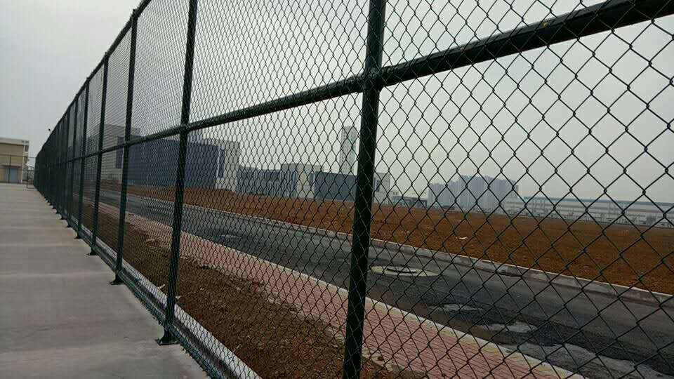 1495413379715919.jpg 1495413379715919.jpg