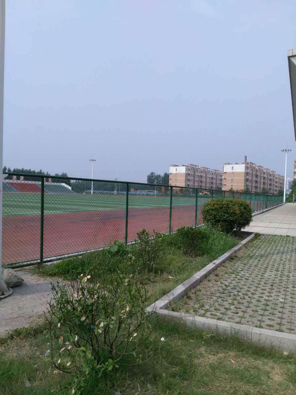 1498695603530323.jpg 458420768427802988.jpg