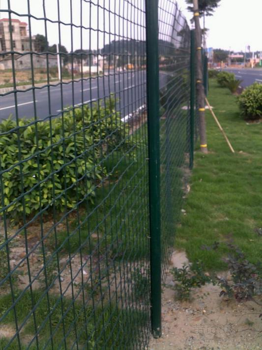綠色公路護欄網(wǎng)