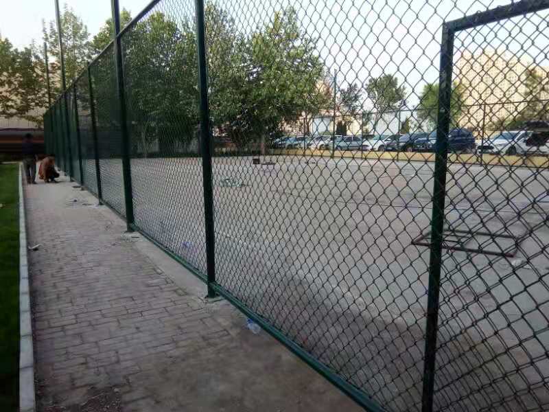 球場圍網(wǎng)哪家好